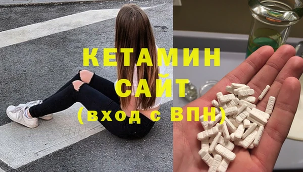 гидра Няндома