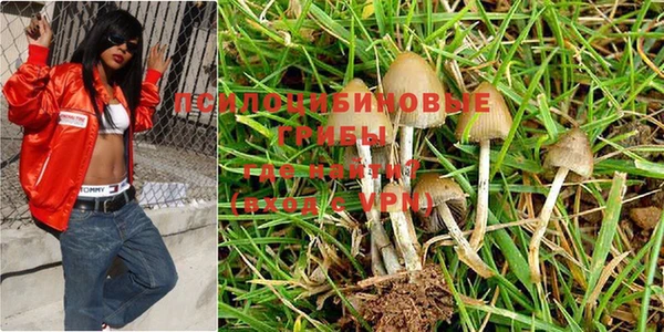 метадон Нягань