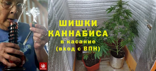 гидра Няндома