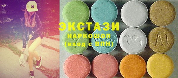 гидра Няндома