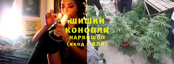 гидра Няндома