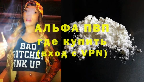 гидра Няндома