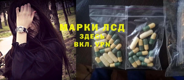 гидра Няндома
