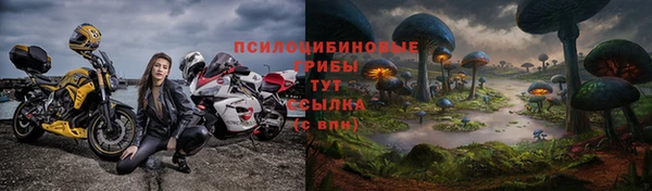 гидра Няндома