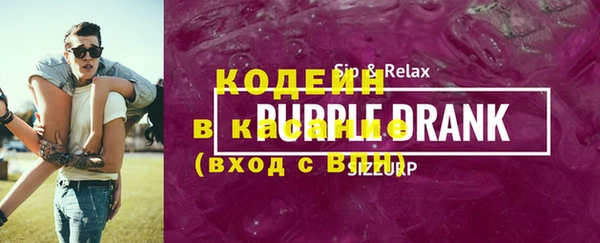гидра Няндома