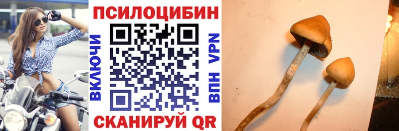 Галлюциногенные грибы MAGIC MUSHROOMS  Эртиль 